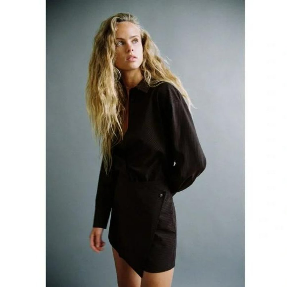 ZARA PINSTRIPE SHIRT DRESS - Picture 3 of 6